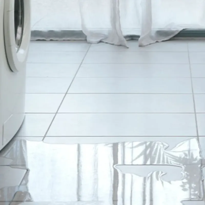 Appliance Leak Cleanup in Brainerd, MN